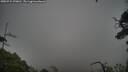 ./images/calvert/fitz-hugh-hecate/20250724/fitz-hugh-hecate20250724_070010M.jpg