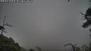 ./images/calvert/fitz-hugh-hecate/20250724/fitz-hugh-hecate20250724_070510M.jpg
