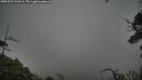 ./images/calvert/fitz-hugh-hecate/20250724/fitz-hugh-hecate20250724_071008M.jpg