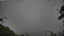 ./images/calvert/fitz-hugh-hecate/20250724/fitz-hugh-hecate20250724_072509M.jpg