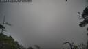./images/calvert/fitz-hugh-hecate/20250724/fitz-hugh-hecate20250724_073510M.jpg