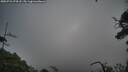 ./images/calvert/fitz-hugh-hecate/20250724/fitz-hugh-hecate20250724_074507M.jpg