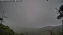 ./images/calvert/fitz-hugh-hecate/20250724/fitz-hugh-hecate20250724_081510M.jpg