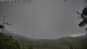 ./images/calvert/fitz-hugh-hecate/20250724/fitz-hugh-hecate20250724_082010M.jpg