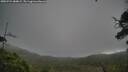 ./images/calvert/fitz-hugh-hecate/20250724/fitz-hugh-hecate20250724_084009M.jpg