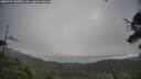 ./images/calvert/fitz-hugh-hecate/20250724/fitz-hugh-hecate20250724_085011M.jpg
