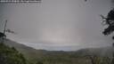 ./images/calvert/fitz-hugh-hecate/20250724/fitz-hugh-hecate20250724_090010M.jpg