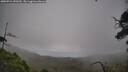 ./images/calvert/fitz-hugh-hecate/20250724/fitz-hugh-hecate20250724_090510M.jpg