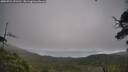 ./images/calvert/fitz-hugh-hecate/20250724/fitz-hugh-hecate20250724_091510M.jpg