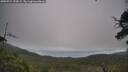 ./images/calvert/fitz-hugh-hecate/20250724/fitz-hugh-hecate20250724_092009M.jpg