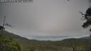 ./images/calvert/fitz-hugh-hecate/20250724/fitz-hugh-hecate20250724_092509M.jpg