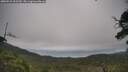 ./images/calvert/fitz-hugh-hecate/20250724/fitz-hugh-hecate20250724_093510M.jpg
