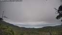 ./images/calvert/fitz-hugh-hecate/20250724/fitz-hugh-hecate20250724_094511M.jpg