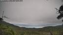 ./images/calvert/fitz-hugh-hecate/20250724/fitz-hugh-hecate20250724_095010M.jpg