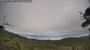 ./images/calvert/fitz-hugh-hecate/20250724/fitz-hugh-hecate20250724_095508M.jpg