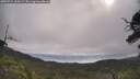 ./images/calvert/fitz-hugh-hecate/20250724/fitz-hugh-hecate20250724_100509M.jpg