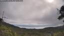 ./images/calvert/fitz-hugh-hecate/20250724/fitz-hugh-hecate20250724_101009M.jpg