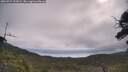 ./images/calvert/fitz-hugh-hecate/20250724/fitz-hugh-hecate20250724_102009M.jpg