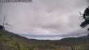 ./images/calvert/fitz-hugh-hecate/20250724/fitz-hugh-hecate20250724_102510M.jpg