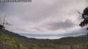 ./images/calvert/fitz-hugh-hecate/20250724/fitz-hugh-hecate20250724_103508M.jpg