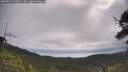 ./images/calvert/fitz-hugh-hecate/20250724/fitz-hugh-hecate20250724_104009M.jpg