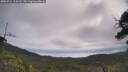 ./images/calvert/fitz-hugh-hecate/20250724/fitz-hugh-hecate20250724_104510M.jpg