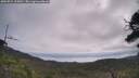 ./images/calvert/fitz-hugh-hecate/20250724/fitz-hugh-hecate20250724_105011M.jpg