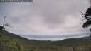 ./images/calvert/fitz-hugh-hecate/20250724/fitz-hugh-hecate20250724_105508M.jpg