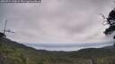 ./images/calvert/fitz-hugh-hecate/20250724/fitz-hugh-hecate20250724_110009M.jpg