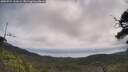 ./images/calvert/fitz-hugh-hecate/20250724/fitz-hugh-hecate20250724_111009M.jpg