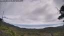 ./images/calvert/fitz-hugh-hecate/20250724/fitz-hugh-hecate20250724_112510M.jpg