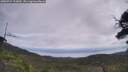 ./images/calvert/fitz-hugh-hecate/20250724/fitz-hugh-hecate20250724_113010M.jpg