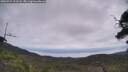 ./images/calvert/fitz-hugh-hecate/20250724/fitz-hugh-hecate20250724_113507M.jpg