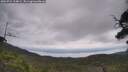 ./images/calvert/fitz-hugh-hecate/20250724/fitz-hugh-hecate20250724_114009M.jpg