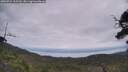 ./images/calvert/fitz-hugh-hecate/20250724/fitz-hugh-hecate20250724_115510M.jpg