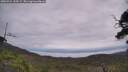 ./images/calvert/fitz-hugh-hecate/20250724/fitz-hugh-hecate20250724_120509M.jpg