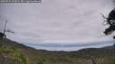 ./images/calvert/fitz-hugh-hecate/20250724/fitz-hugh-hecate20250724_121009M.jpg
