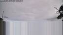 ./images/calvert/fitz-hugh-hecate/20250724/fitz-hugh-hecate20250724_133012M.jpg