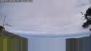 ./images/calvert/fitz-hugh-hecate/20250724/fitz-hugh-hecate20250724_134009M.jpg
