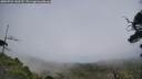 ./images/calvert/fitz-hugh-hecate/20250724/fitz-hugh-hecate20250724_143510M.jpg