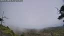 ./images/calvert/fitz-hugh-hecate/20250724/fitz-hugh-hecate20250724_144010M.jpg