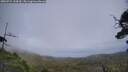 ./images/calvert/fitz-hugh-hecate/20250724/fitz-hugh-hecate20250724_144509M.jpg