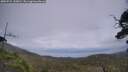 ./images/calvert/fitz-hugh-hecate/20250724/fitz-hugh-hecate20250724_145011M.jpg