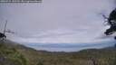 ./images/calvert/fitz-hugh-hecate/20250724/fitz-hugh-hecate20250724_145510M.jpg