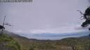 ./images/calvert/fitz-hugh-hecate/20250724/fitz-hugh-hecate20250724_150509M.jpg