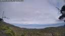 ./images/calvert/fitz-hugh-hecate/20250724/fitz-hugh-hecate20250724_151511M.jpg