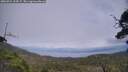 ./images/calvert/fitz-hugh-hecate/20250724/fitz-hugh-hecate20250724_152006M.jpg