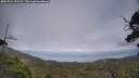 ./images/calvert/fitz-hugh-hecate/20250724/fitz-hugh-hecate20250724_153511M.jpg