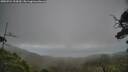 ./images/calvert/fitz-hugh-hecate/20250724/fitz-hugh-hecate20250724_154510M.jpg