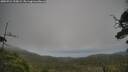 ./images/calvert/fitz-hugh-hecate/20250724/fitz-hugh-hecate20250724_155009M.jpg